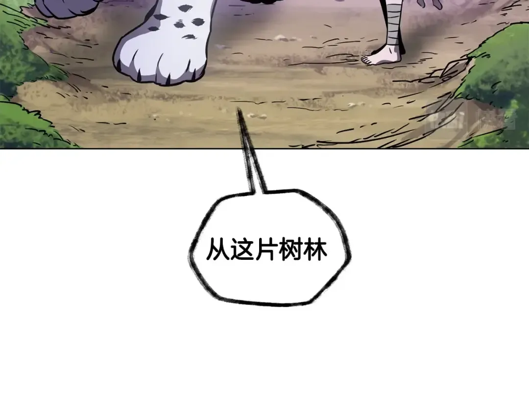 第1话 破灭之森 第218页