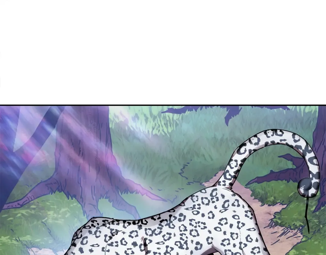 第1话 破灭之森 第254页