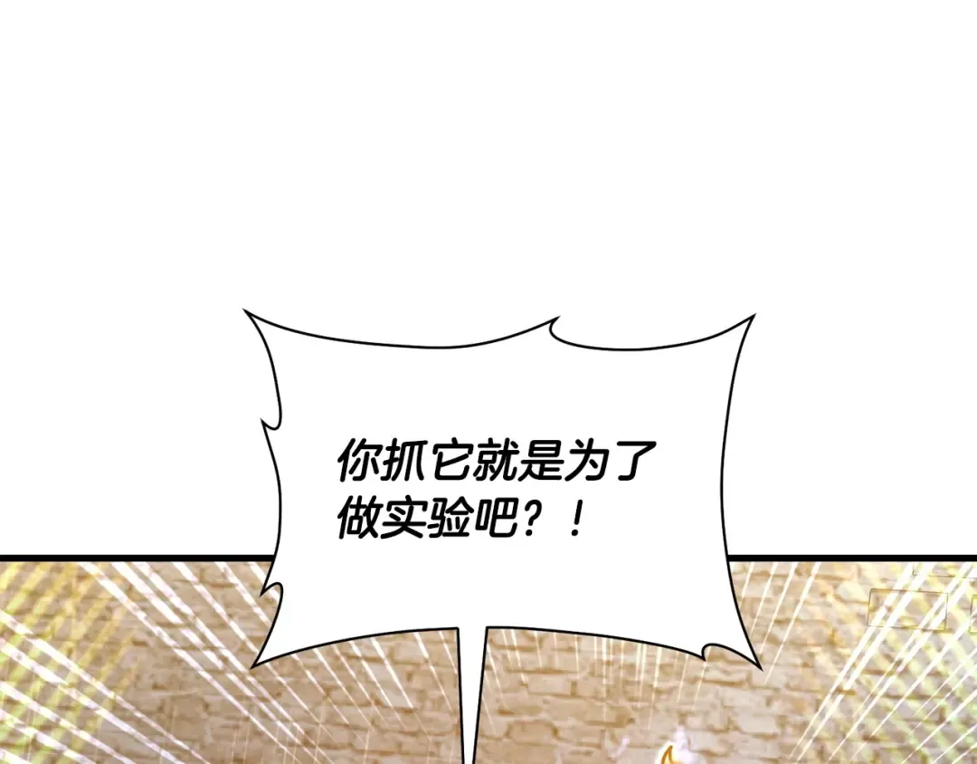 第39话 降伏精灵 第21页