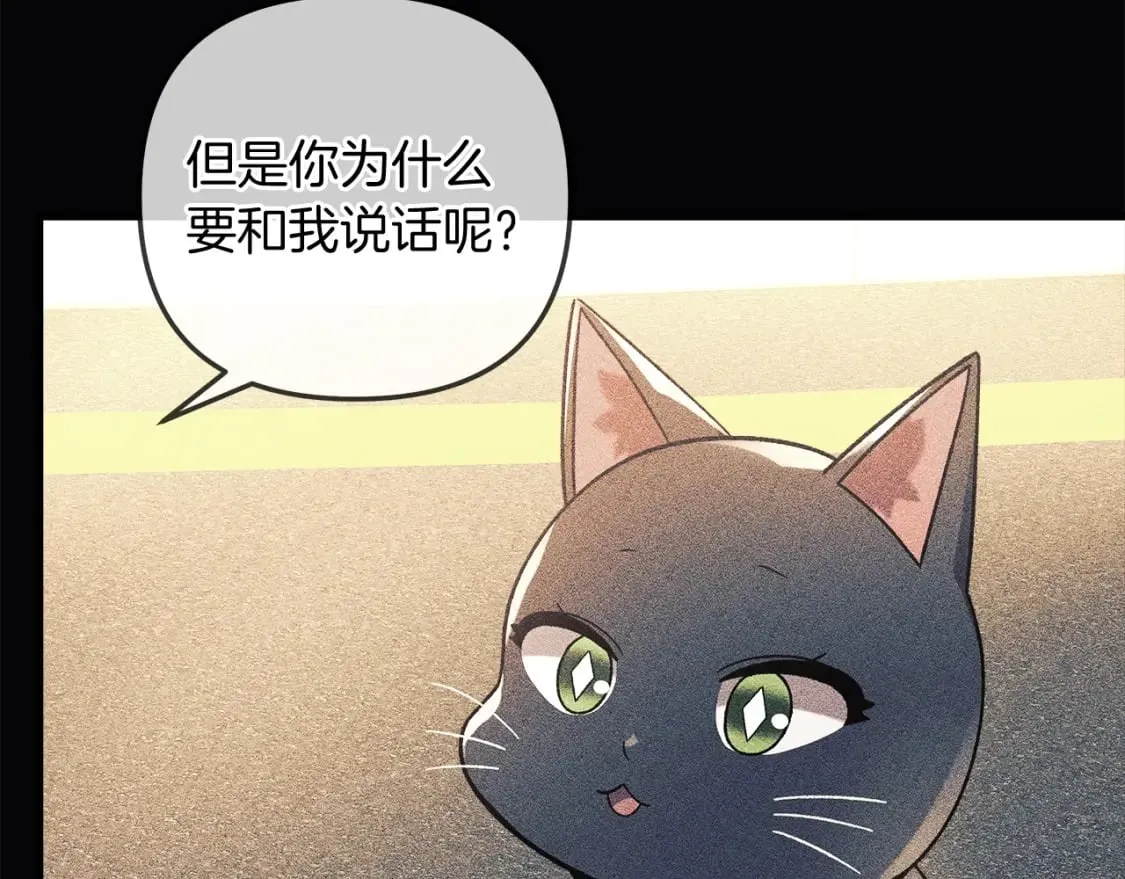 第35话 说话小猫 第153页