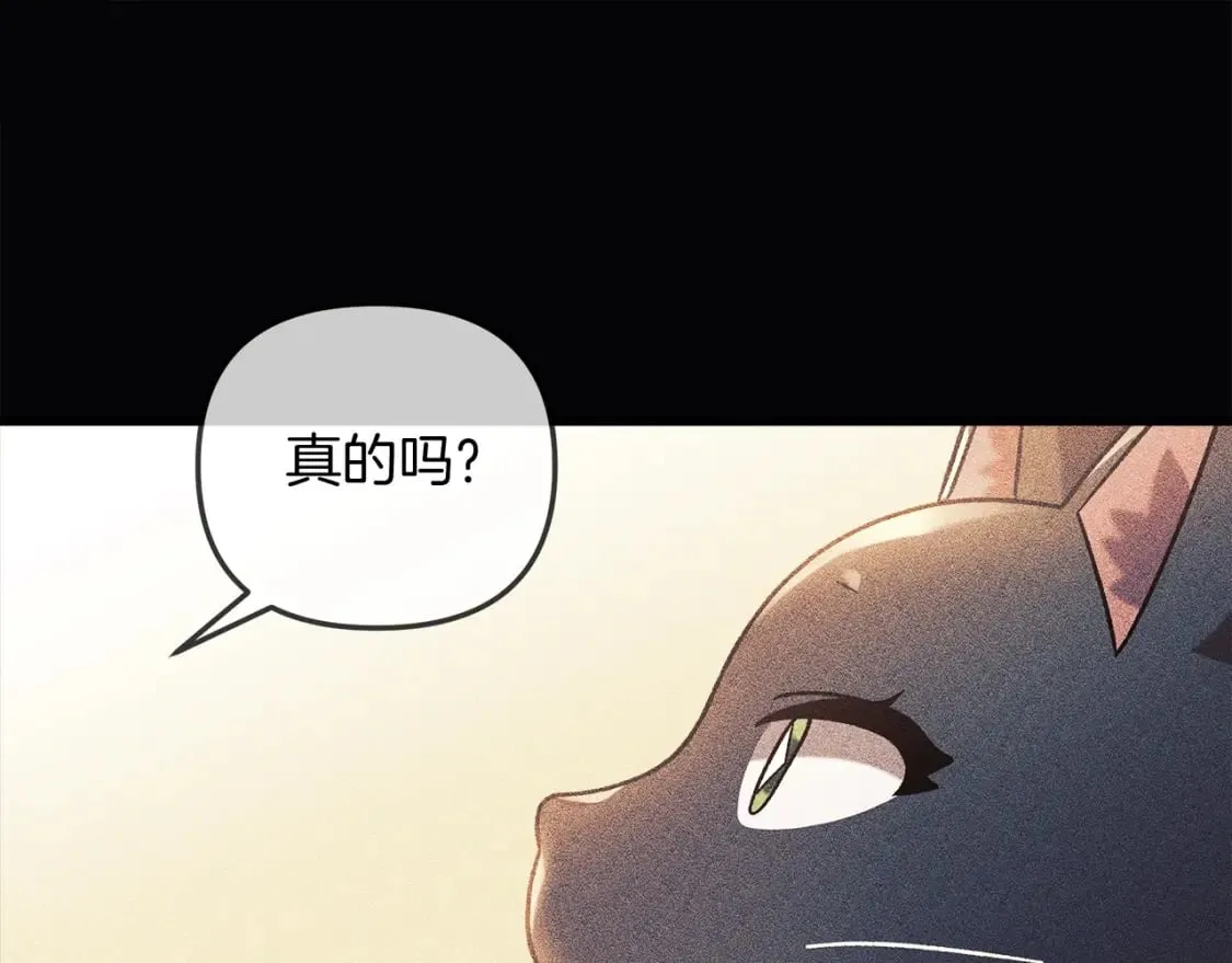 第35话 说话小猫 第160页