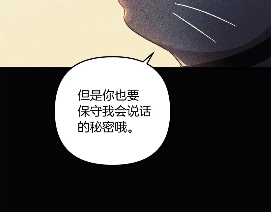 第35话 说话小猫 第161页