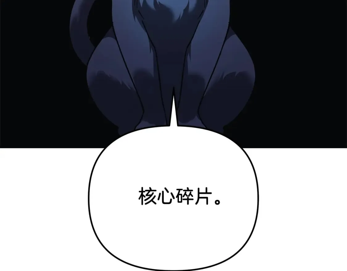 第74话 核心碎片 第215页