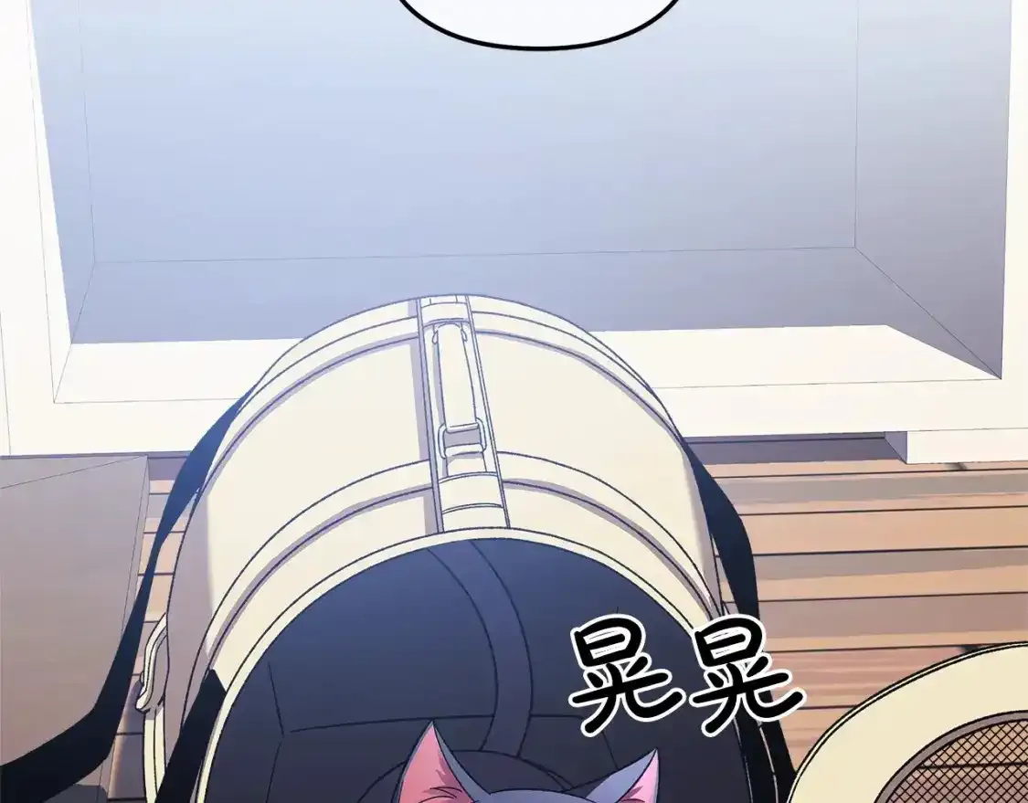 第61话 新成员 第78页