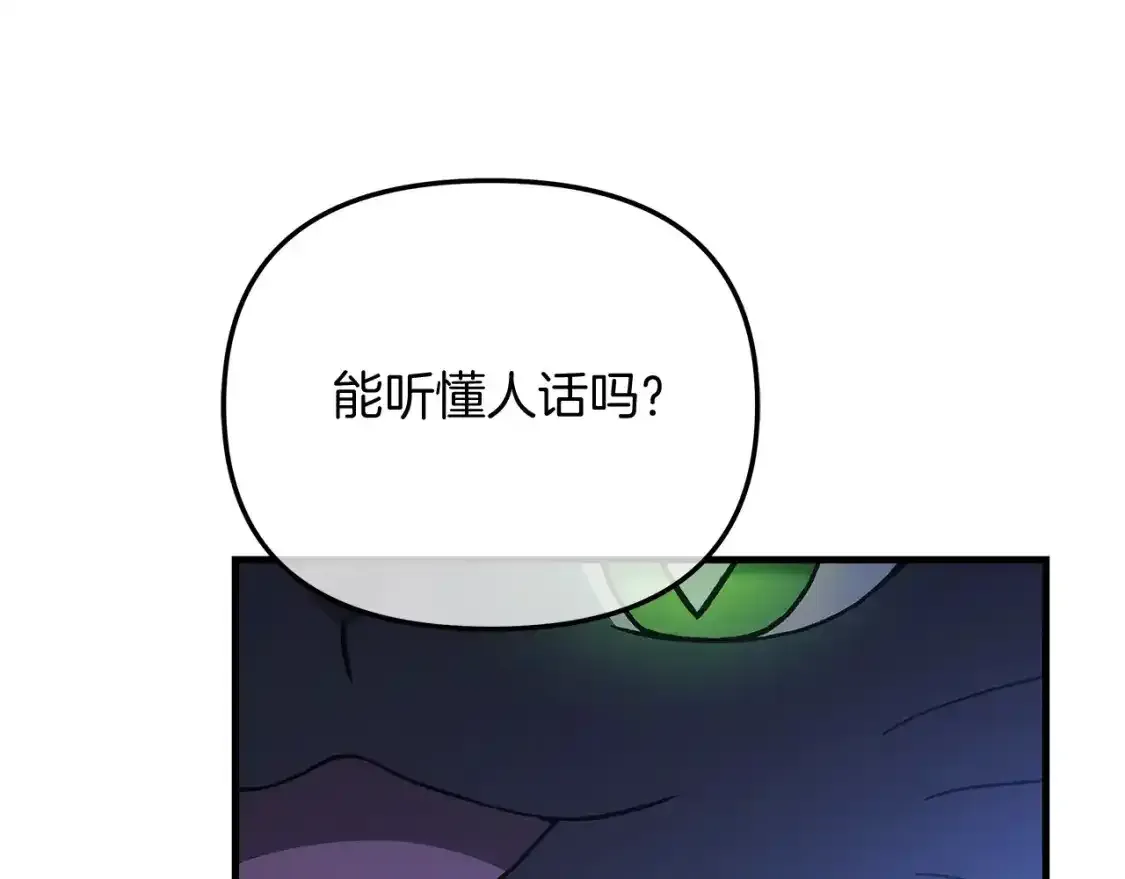 第61话 新成员 第215页