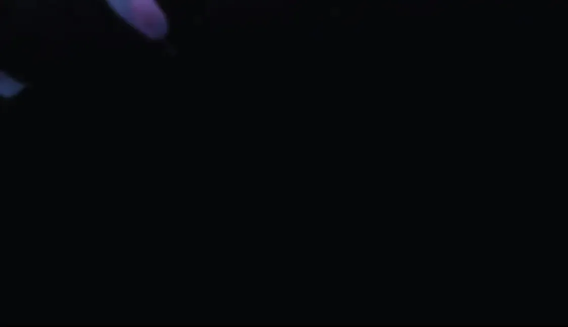 第104话 吸收记忆 第219页