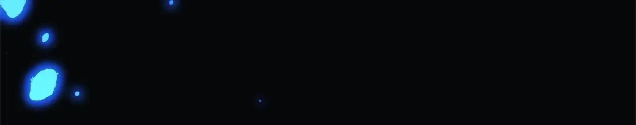 第131话 不同的命运 第54页