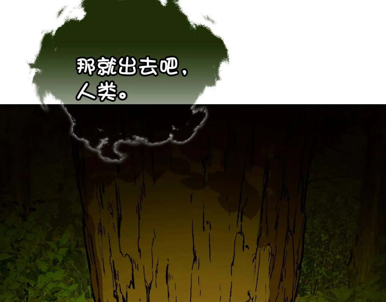 第11话 森林精灵 第155页