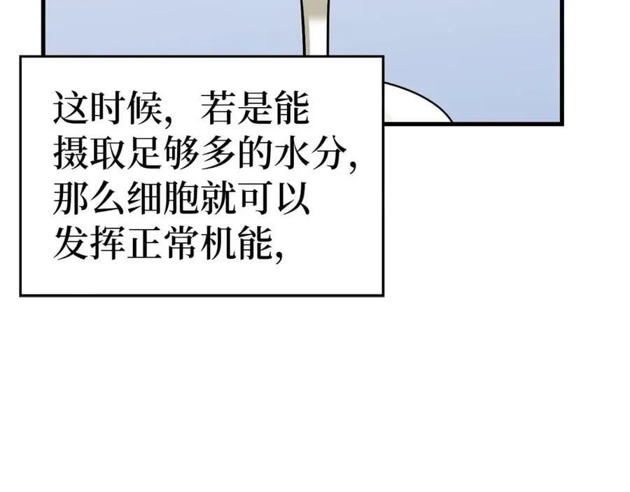 第31话 国际象棋 第19页