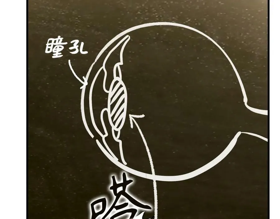 第41话 白内障 第46页