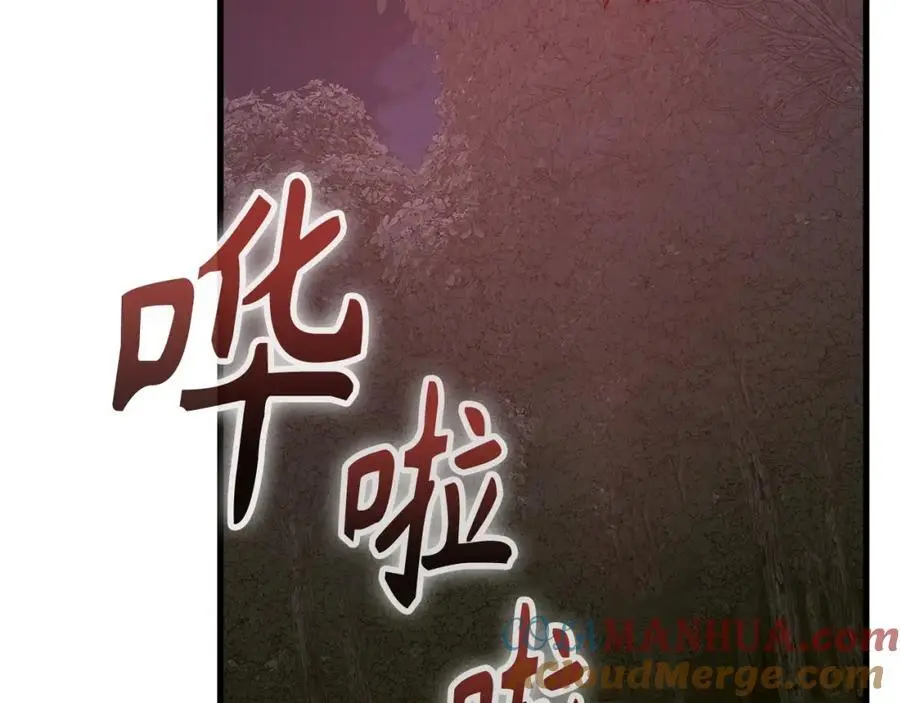 第63话 罗伊归来 第177页