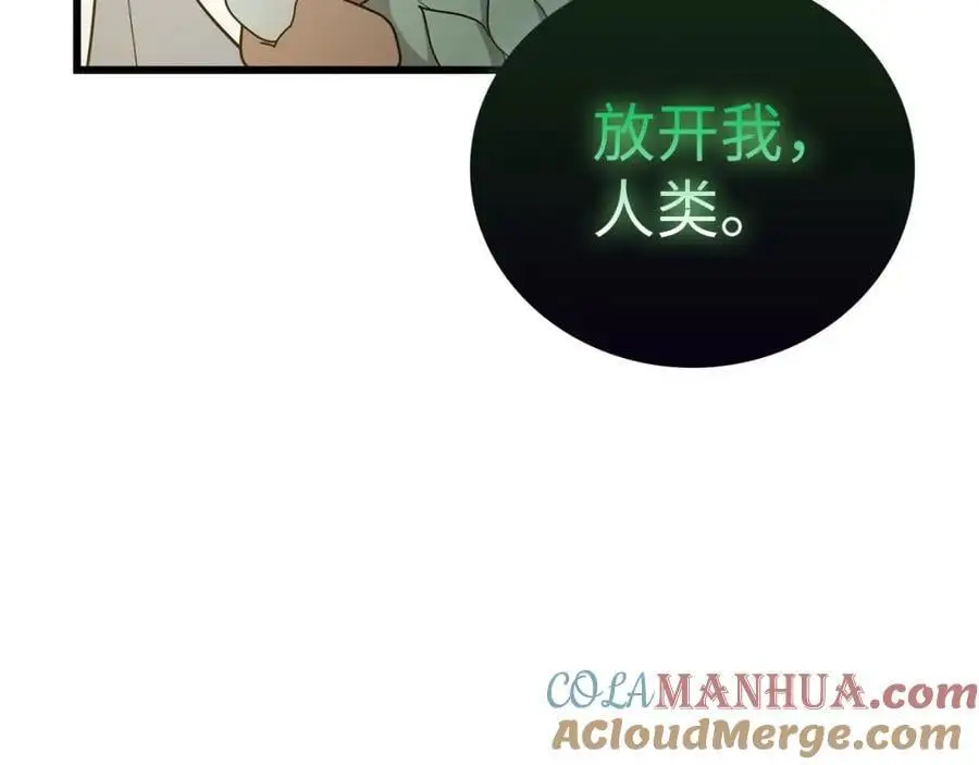 第69话 面见精灵 第33页