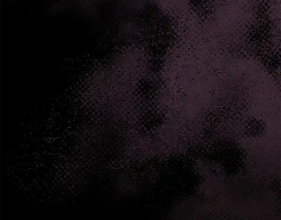 第67话 你就是我的剑 第10页