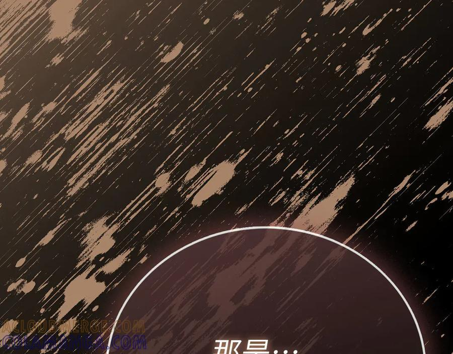 第140话 圣女消逝 第117页