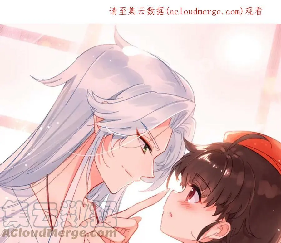 第5话 厨师归来 第1页