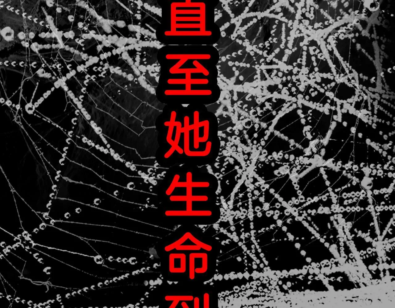 07 大小姐专属侍卫登场！ 第73页