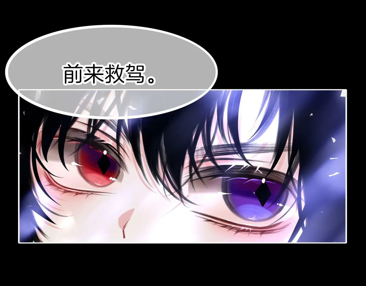 13 贴身侍卫前来救驾！ 第88页