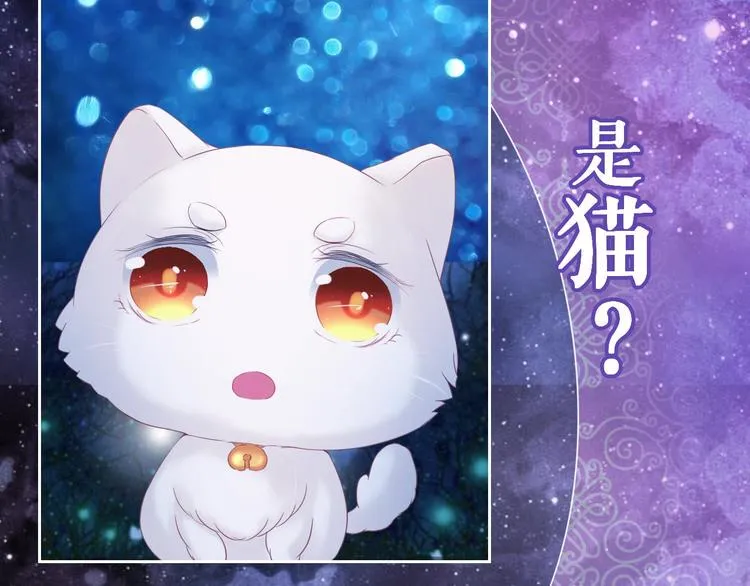 第0+1话 从天而降的喵？ 第4页