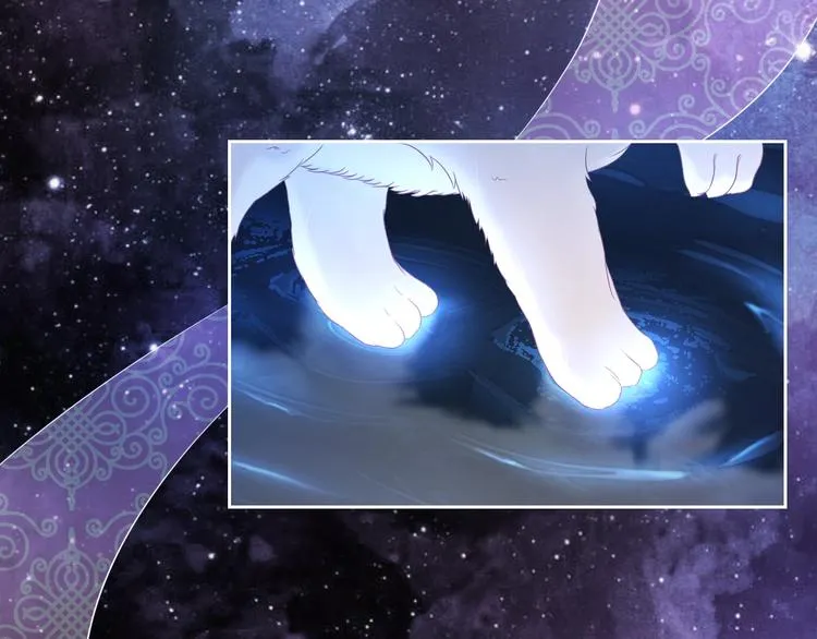 第0+1话 从天而降的喵？ 第5页