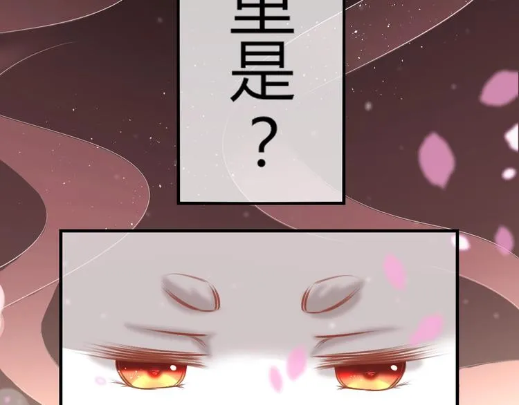 第0+1话 从天而降的喵？ 第31页