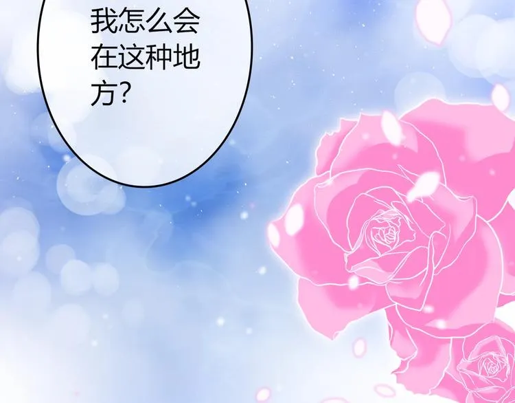 第0+1话 从天而降的喵？ 第36页