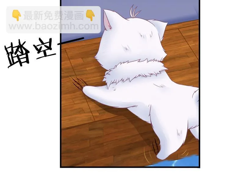 第0+1话 从天而降的喵？ 第48页