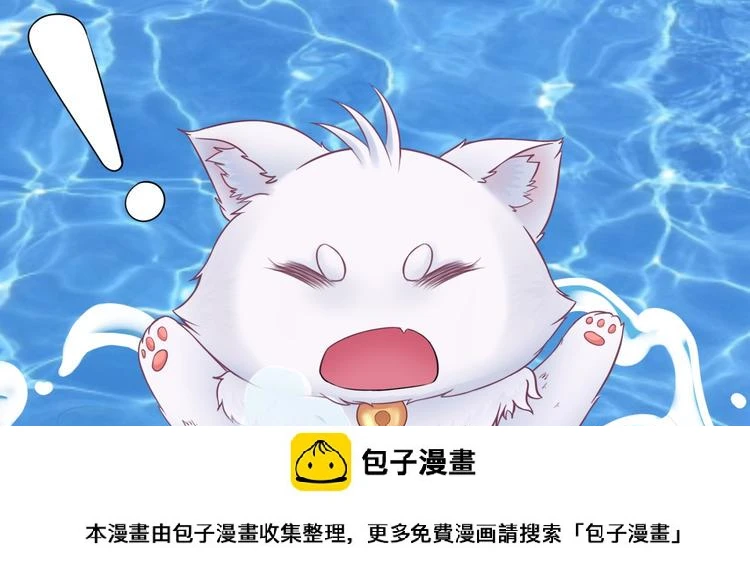 第0+1话 从天而降的喵？ 第50页