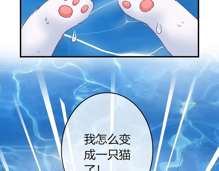 第0+1话 从天而降的喵？ 第54页