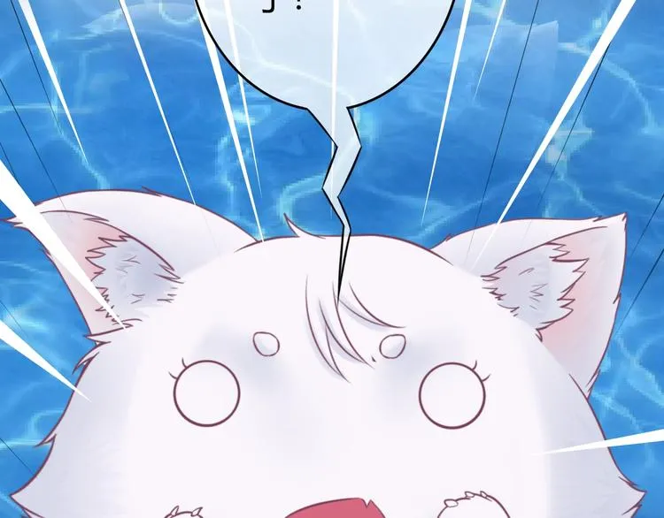 第0+1话 从天而降的喵？ 第55页