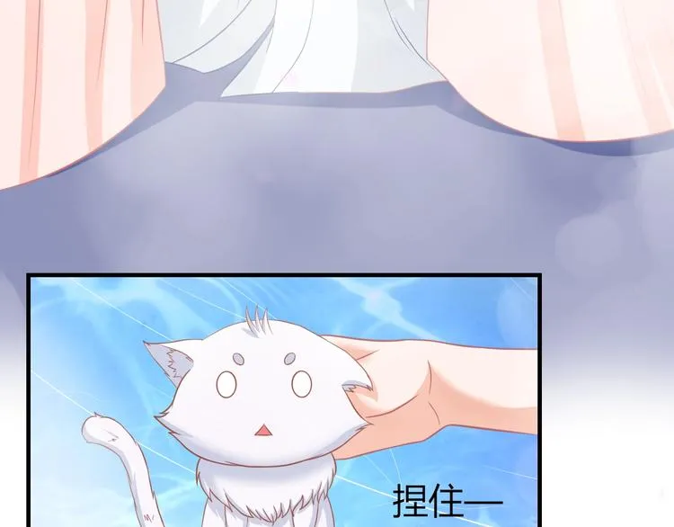 第0+1话 从天而降的喵？ 第63页