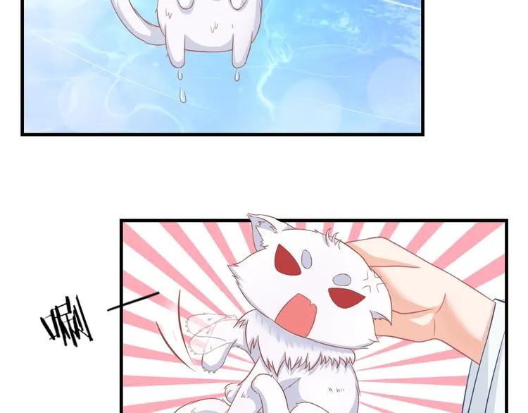 第0+1话 从天而降的喵？ 第64页