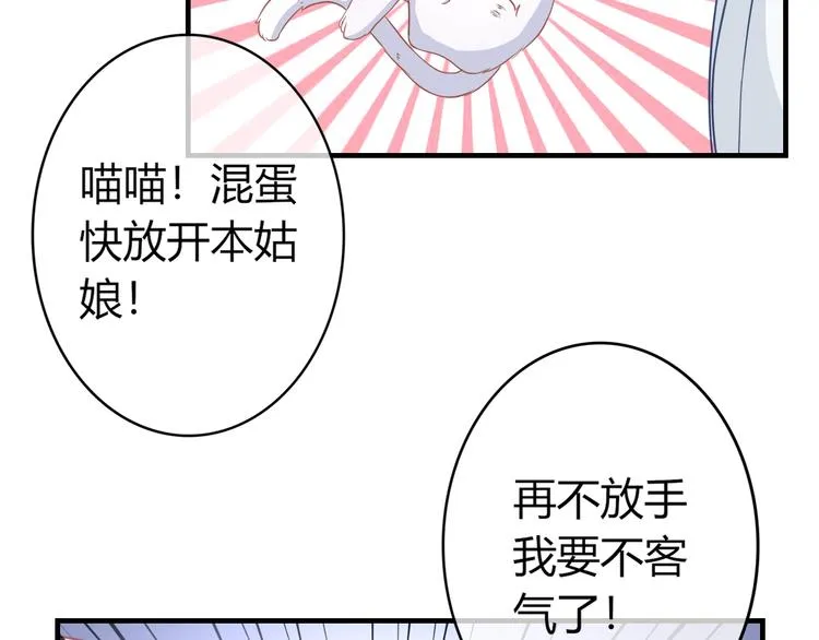 第0+1话 从天而降的喵？ 第65页