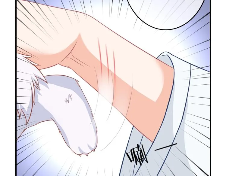 第0+1话 从天而降的喵？ 第66页