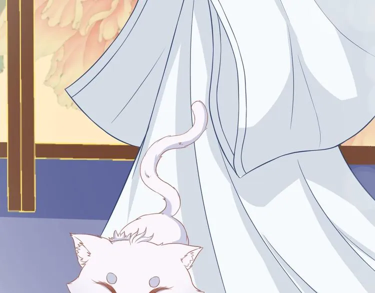第0+1话 从天而降的喵？ 第69页