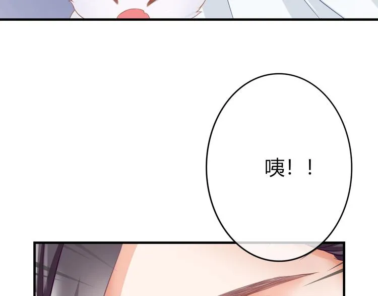 第0+1话 从天而降的喵？ 第70页