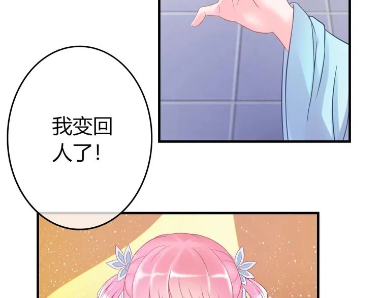 第0+1话 从天而降的喵？ 第81页