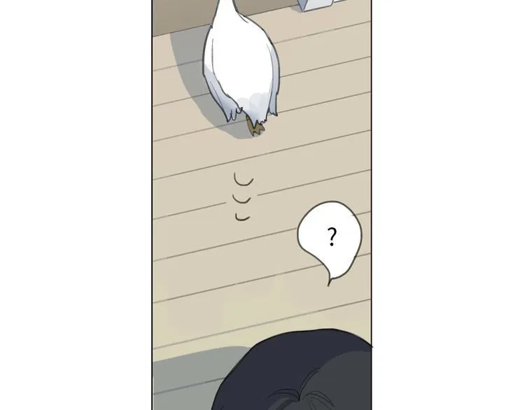 第1话 候鸟 第49页