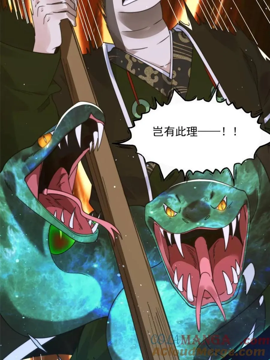 第245话 西荒圣女奶牛猫咪？ 第4页