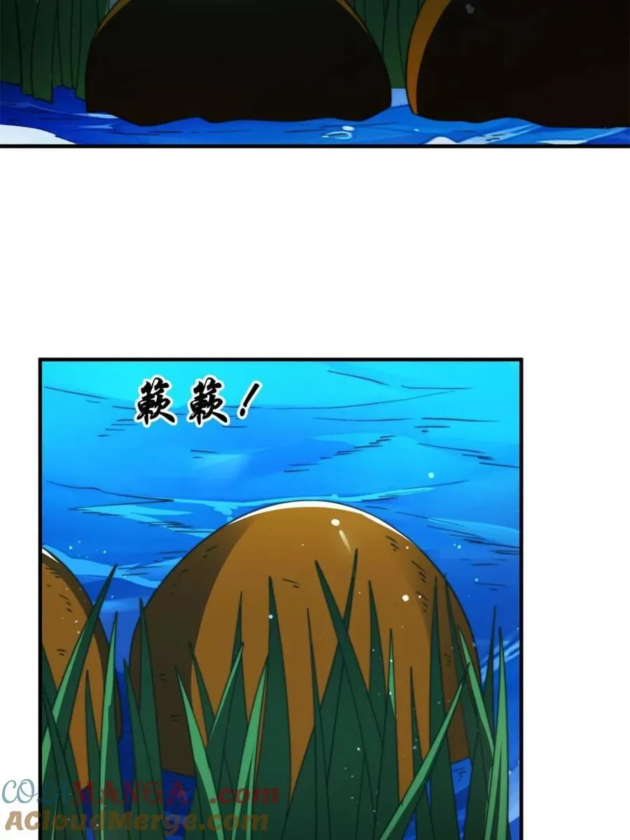 第249话 什么？要联姻？！ 第19页