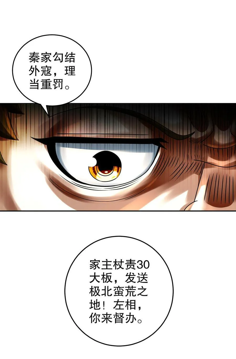 65 秦家家主姓林？ 第11页