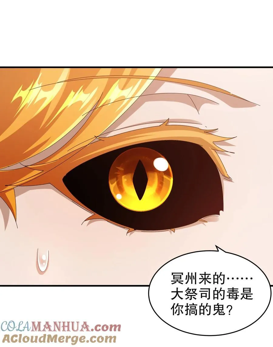 181 爱像一道绿光 第11页