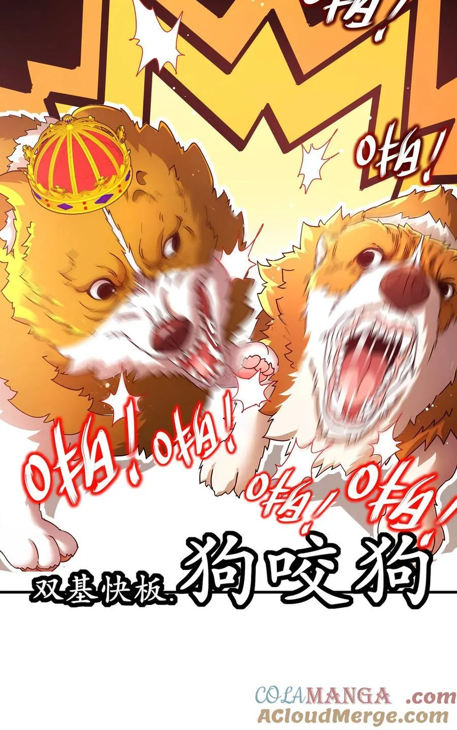234 行动代号：狗咬狗 第15页