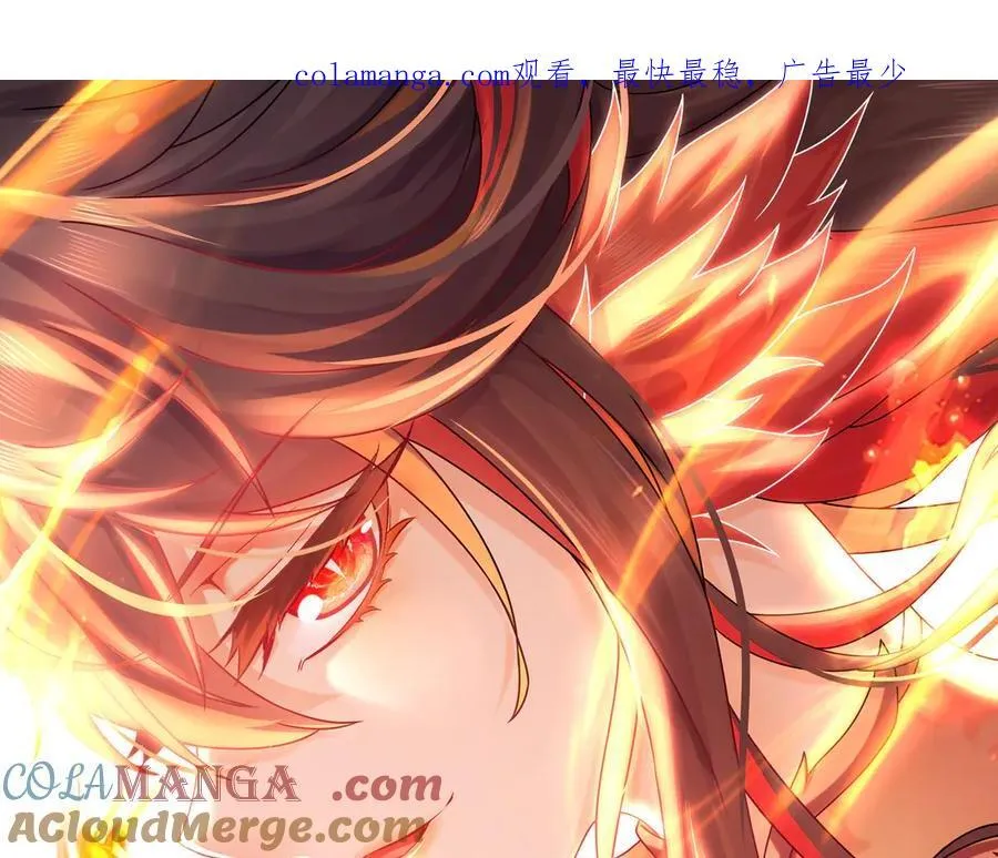 323-朱雀的能力是…… 第1页