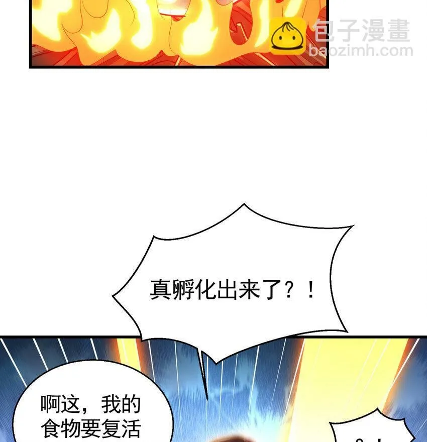 第36话 捡到一颗神秘巨蛋 第19页