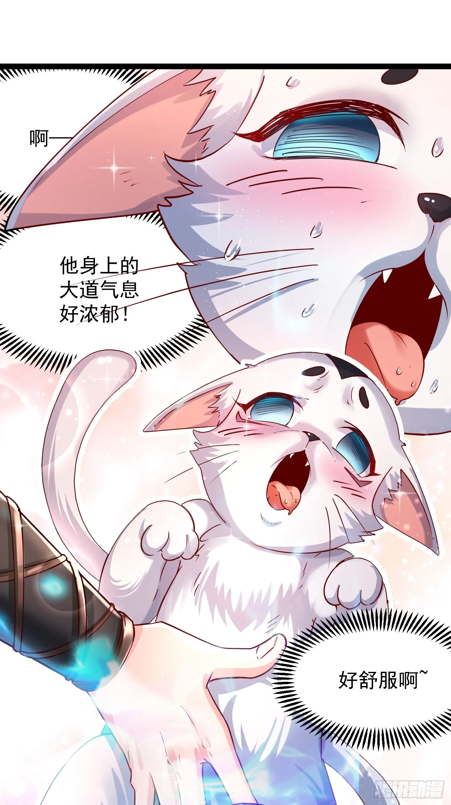 第7话 白虎为宠 第9页