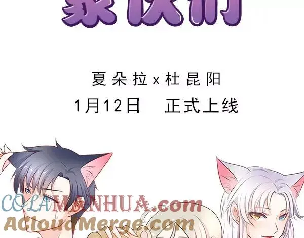序章 这群可爱的家伙们！ 第21页
