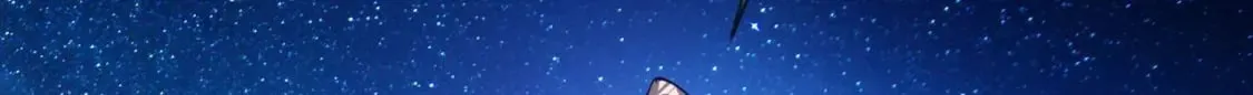038 杀人灭口 第81页