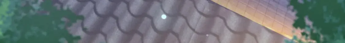 039 太皇庙下的秘密 第69页