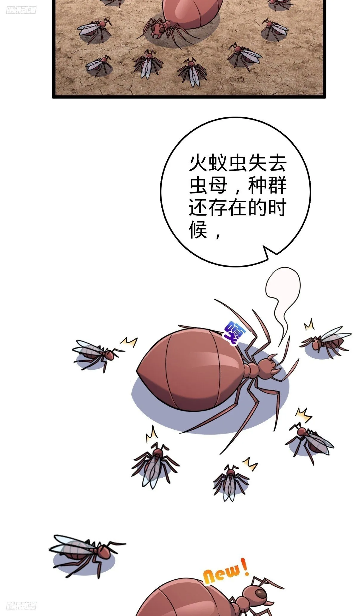 148 先兵后礼 第3页