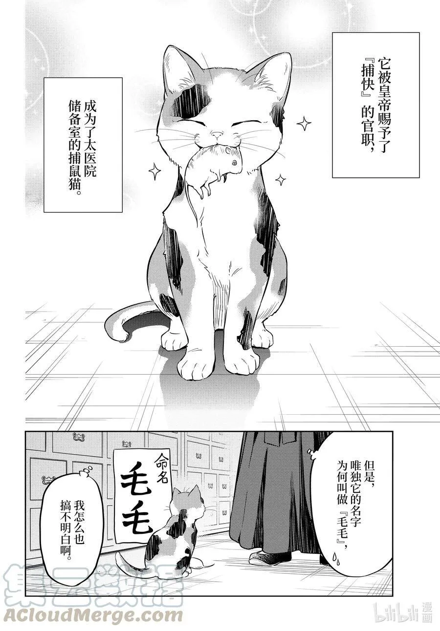 42.5 猫（后篇） 第15页